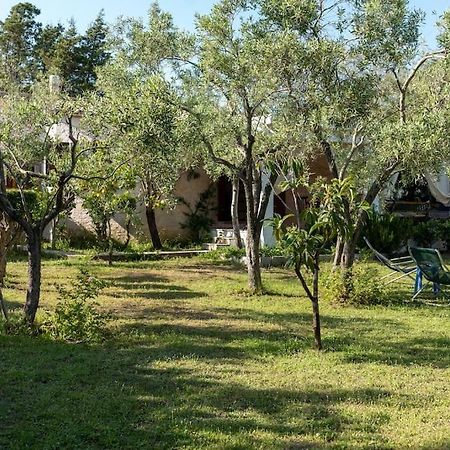 Casa Ginepro Villa Olbia Exterior photo