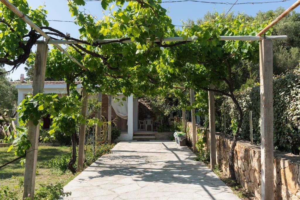Casa Ginepro Villa Olbia Exterior photo